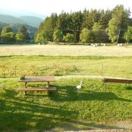 DSCN0938.jpg