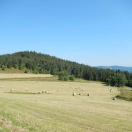 DSCN0962.jpg