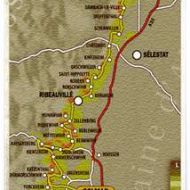 route-des-vins-d-alsace.jpg