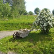 DSC03446-Brouette.jpg